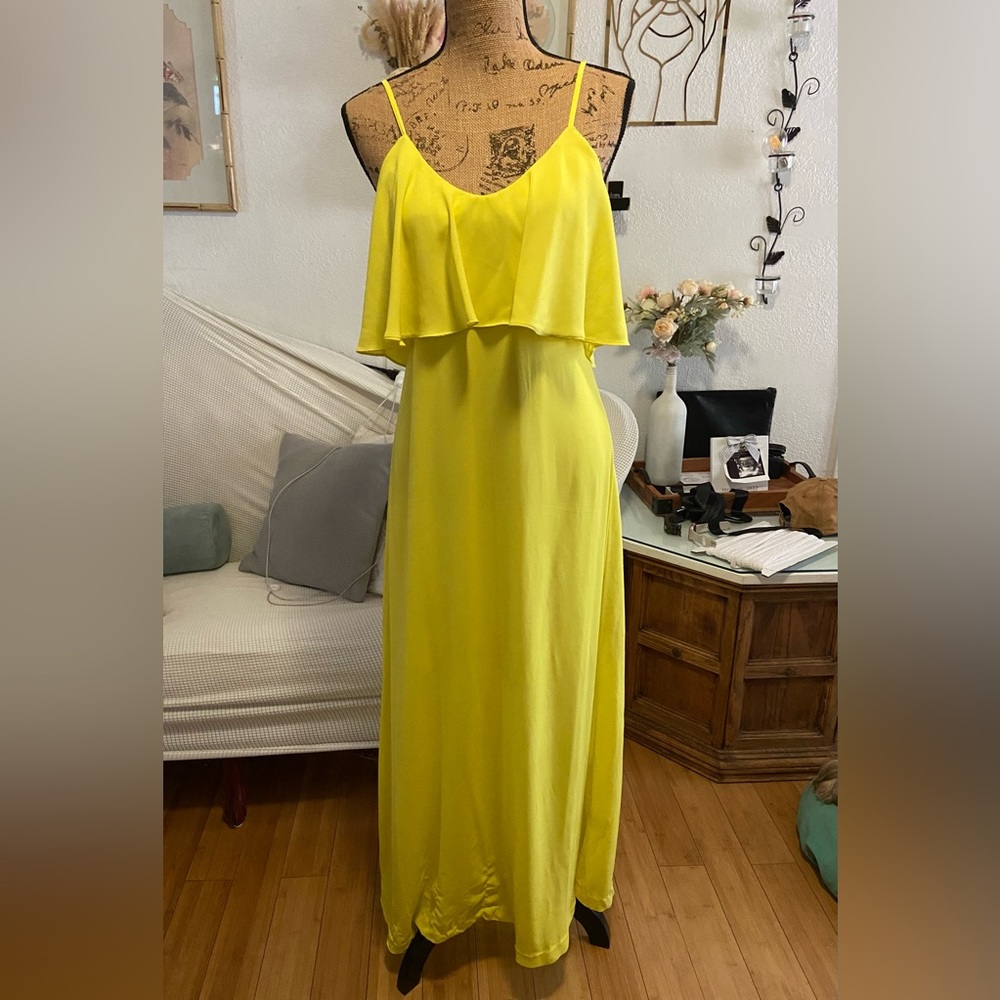 Gianni bini maxi dress